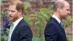 Prince Harry and William feud is an inviolable ‘chasm’: Experts