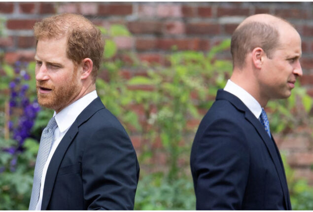 Prince Harry and William feud is an inviolable ‘chasm’: Experts
