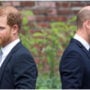 Prince Harry and William feud is an inviolable ‘chasm’: Experts