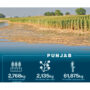 performance of the agriculture sector