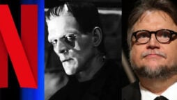 Netflix looking to add classic my Dr. Frankenstein by Guillermo del Toro