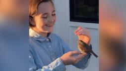 Bird and girl interaction is too cute to miss: Watch