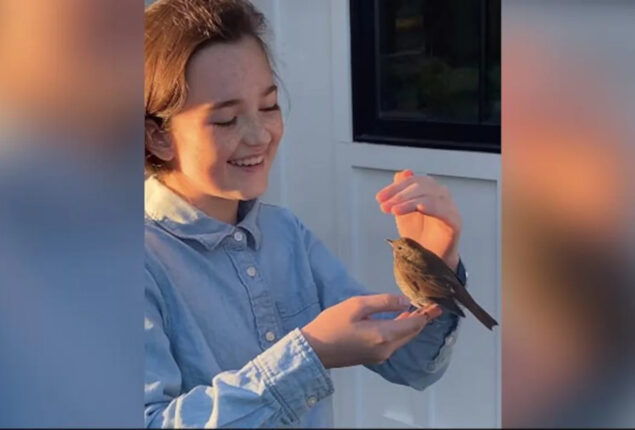 Bird and girl interaction