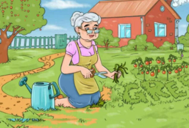 Brain Teaser: Can you find 4 hidden words in 7 seconds?