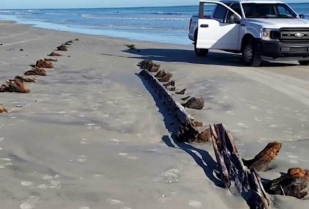 Large and unidentified object found on Florida beach
