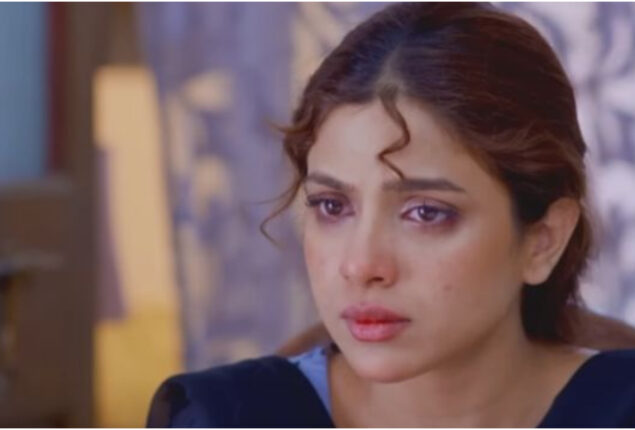 Tinkay Ka Sahara Episode 14 Review: Qadar’s arrogant jethani 