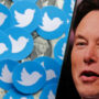 Elon Musk turns Twitter office into rooms after ‘Hardcore’ weekend