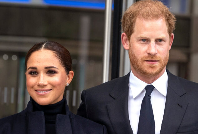 Prince Harry, Meghan Markle question for keeping their royal titles