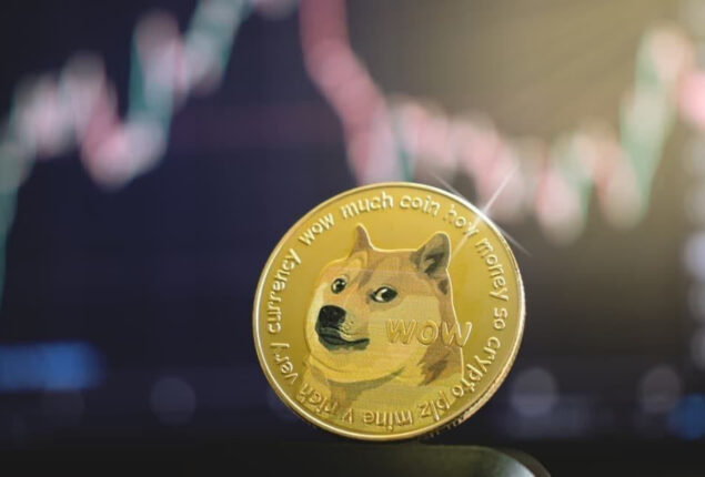 Doge Price