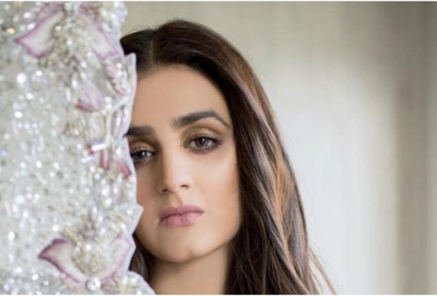 Hira Mani looks beautiful in silver net sari: See Video