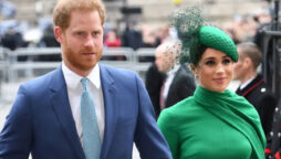 King Charles, Royal Family opposes removing royal titles of Prince Harry, Meghan Markle