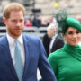 King Charles, Royal Family opposes removing royal titles of Prince Harry, Meghan Markle