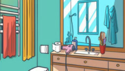Optical Illusion: Only 1% can find the chicken in this bathroom