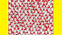 Optical Illusion: Find 7 objects hidden in these 100 bizarre santas