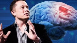 Elon Musk claims human brain chips are ready and he’ll get one