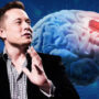 Elon Musk claims human brain chips are ready and he’ll get one