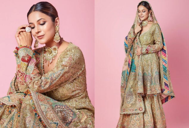 Shehnaaz Gill delights fans with stunning pictures
