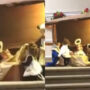 Viral Video: Christmas show starring children goes wrong