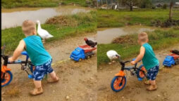 Kindness in Action: A Kid Gives a Chicken a Ride on His Bike