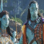 “Avatar” “certified fresh” status of Rotten Tomatoes