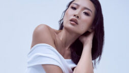 Li Jun Li