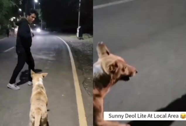 Viral: Man mimics Sunny Deol to get stray dog off him