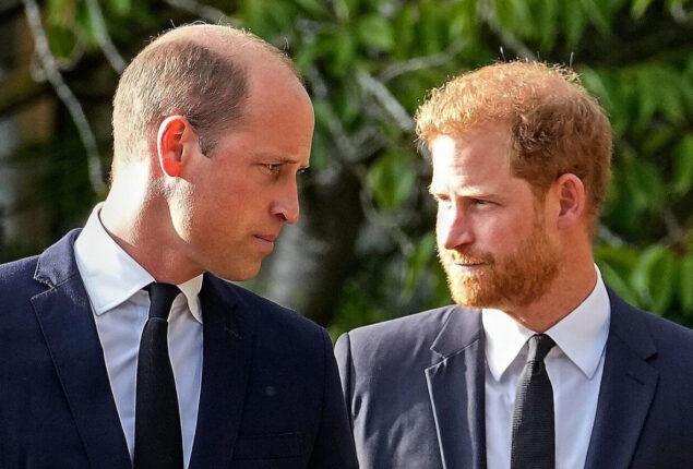Expert claims Prince Harry hates royal family