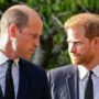 Expert claims Prince Harry hates royal family
