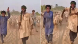 The shepherd dance to the song Dulhe Raja by Govinda goes viral