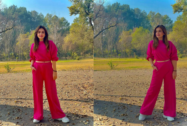 Photos: Sumbul Iqbal delights fans with stunning pictures