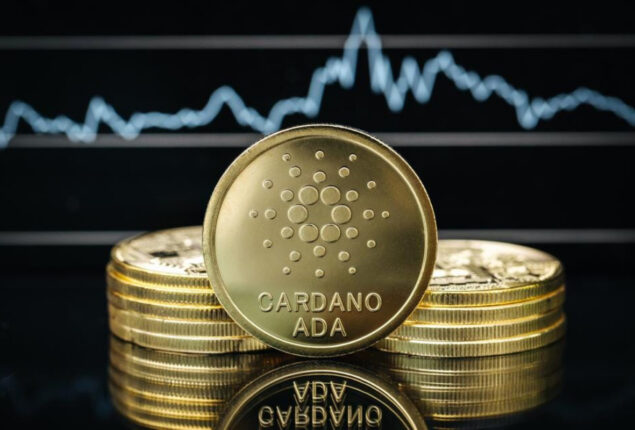 Cardano