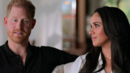 prince harry meghan markle docuseries