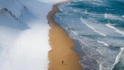 Japanese beach photo with snow, sand, and sea went viral