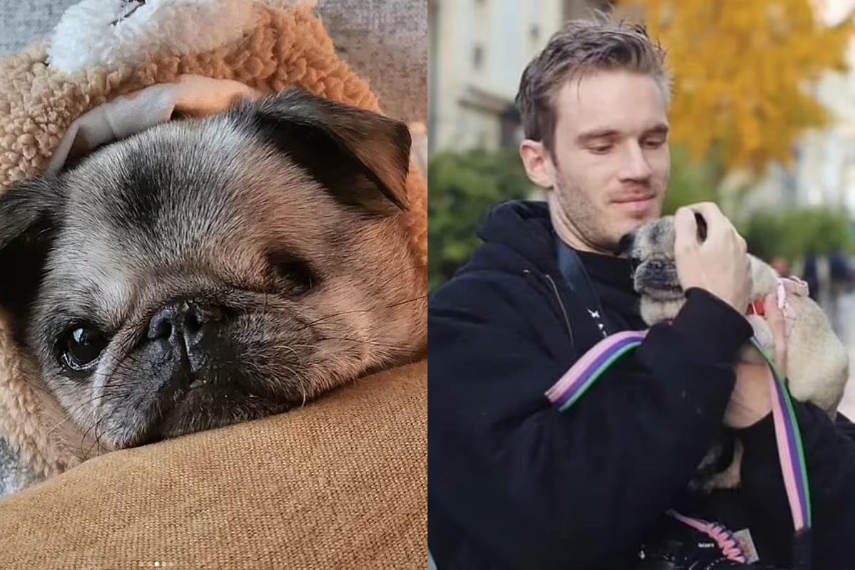 PewDiePie Maya