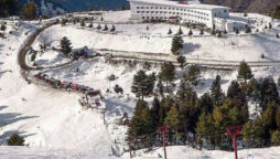 Malam Jabba is popular for winter sports