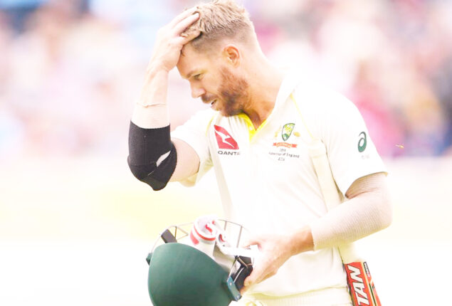 David Warner had reservations about playing Test cricket