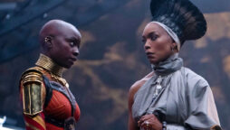 Worldwide box office for “Black Panther” surpasses $733 million