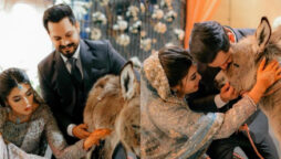 wedding gift