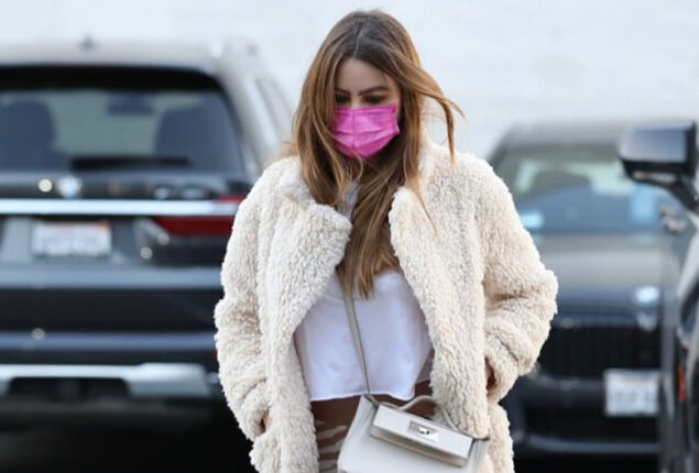 Sofia Vergara stuns in with top as she steps out