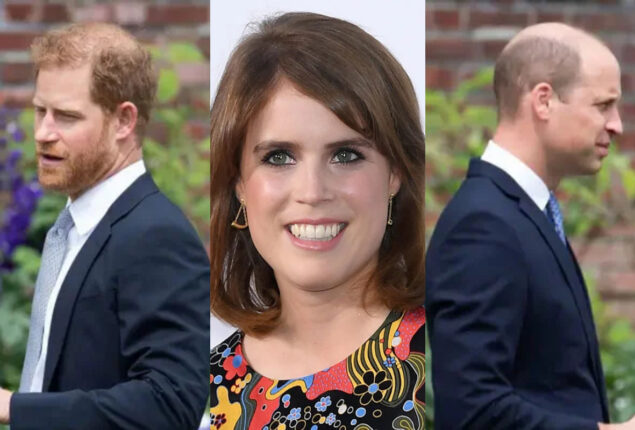 Princess Eugenie has much to take with William & Harry’s dispute