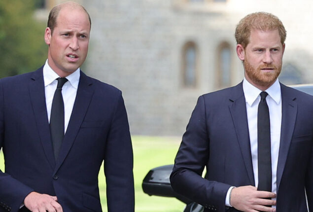 Prince William stands up against Prince Harry’s accusations