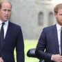 Prince William stands up against Prince Harry’s accusations