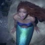 Rob Marshall Had ‘No Agenda’ When Casting Halle Bailey