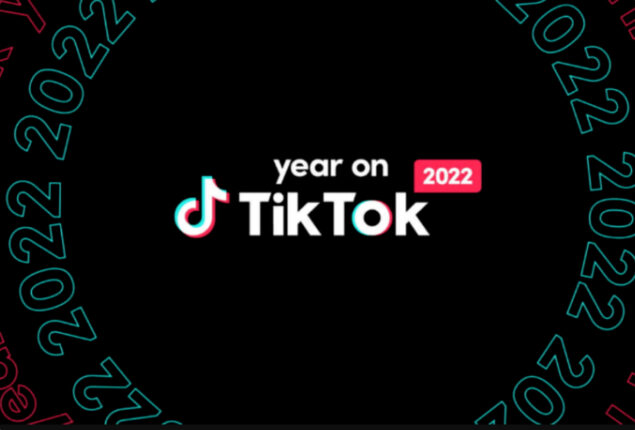 Top 5 Pakistani songs of 2022 are unveiled on TikTok