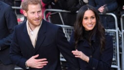 Prince Harry and Meghan Markle reveal their 2022 Christmas Card
