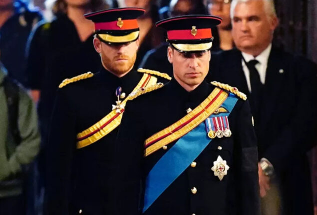 Prince William turns away from Prince Harry’s allegations