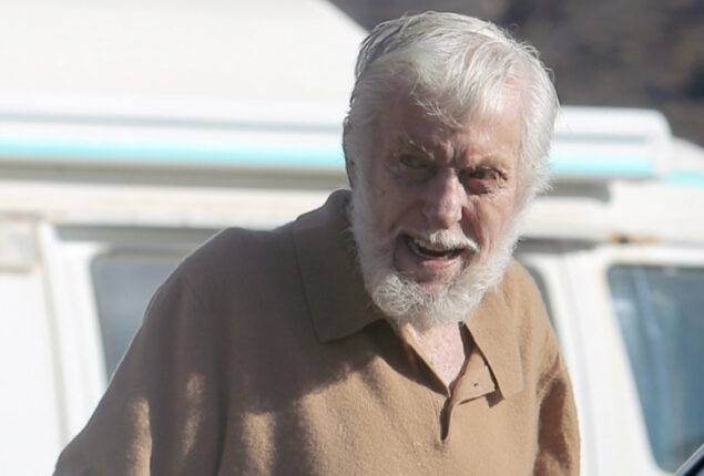 Dick Van Dyke spotted running errands in Malibu