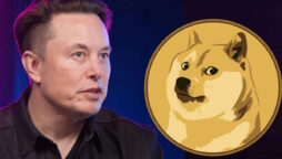 Elon Musk Tweets Crypto Bot Ban, DOGE Co-Founder Confirms