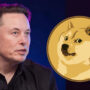 Elon Musk Tweets Crypto Bot Ban, DOGE Co-Founder Confirms