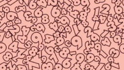 Optical Illusion: Find number 5 in 10 seconds